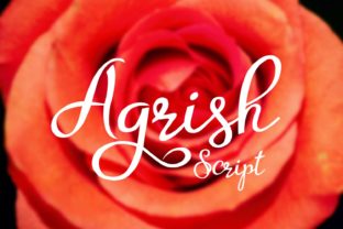 Agrish Font: The Script Handwritten Typeface for Bold Campaigns