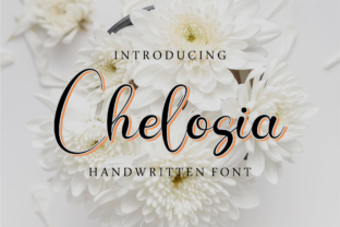 Chelosia: A Script Handwritten Font for Modern Web Design