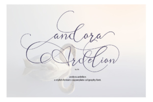 Elevate Campaigns with Andora Ardelion Typeface