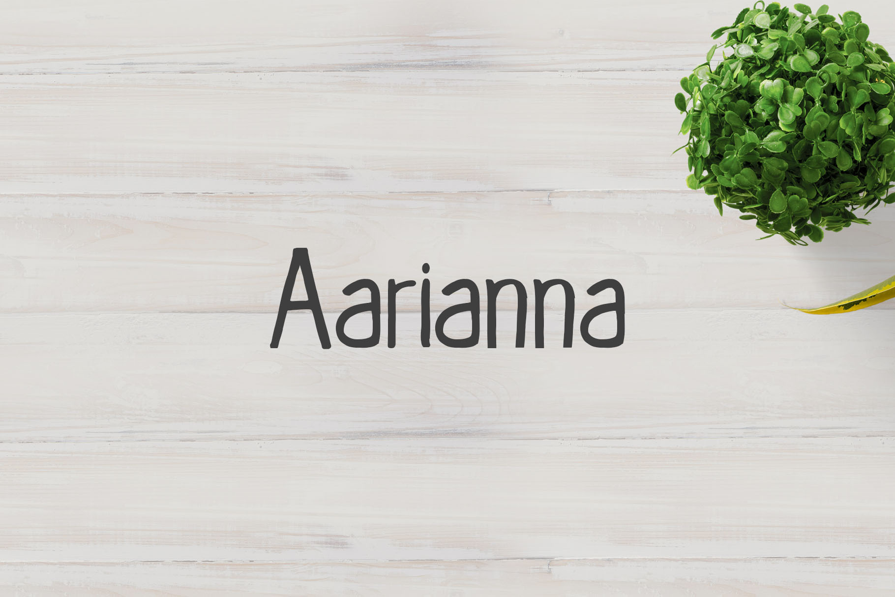 Elevate Your Brand Identity with the Aarianna Typeface