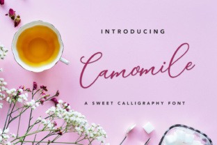 Elevate Your Shop with Camomile Script Font