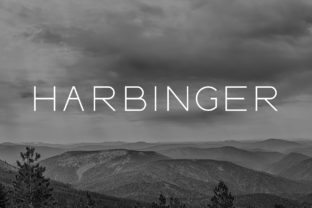 Harbinger Font Review: A Wide Sans Serif for Bold Branding