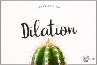 Launch Campaigns with Dilation: A Trendy Script Handwritten Font