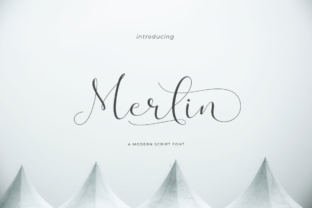 Merlin Script: A Modern Typeface for Small Business Branding