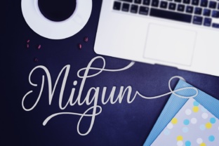 Milgun Font: Elegant Script for Handmade Brands