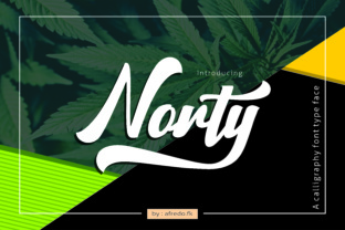 Norty: The Painterly Script Font for Bold Branding