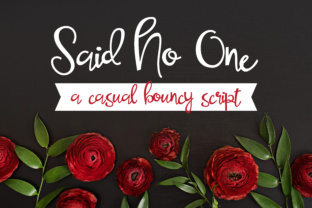 Said No One: A Whimsical Script Font for Web Design