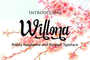 Willona Font Review: Elegant Script for Branding