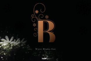 Winter Color: A Magical Display Typeface for Campaigns