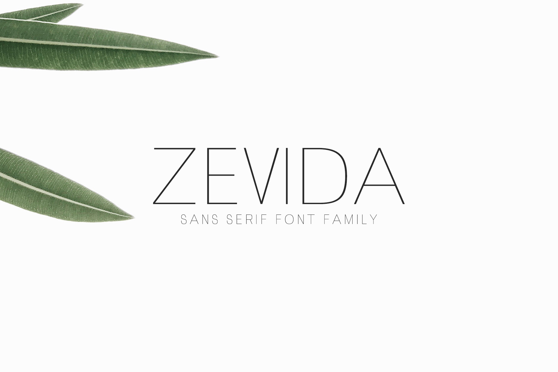 Zevida: A Clean Sans Serif Font for Modern Branding